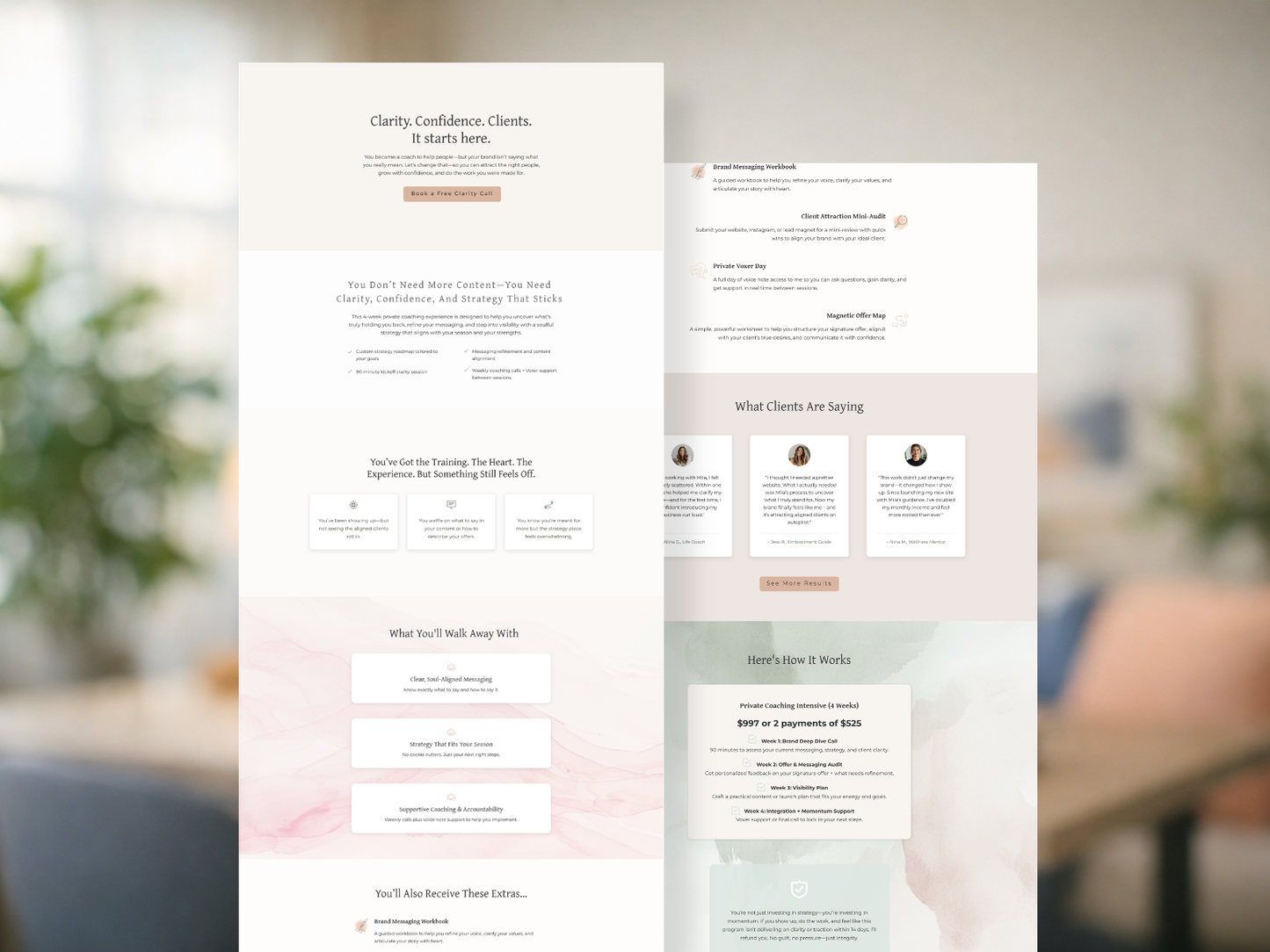 The St. Thérèse Sales Page - 7+ Strategic Canvases